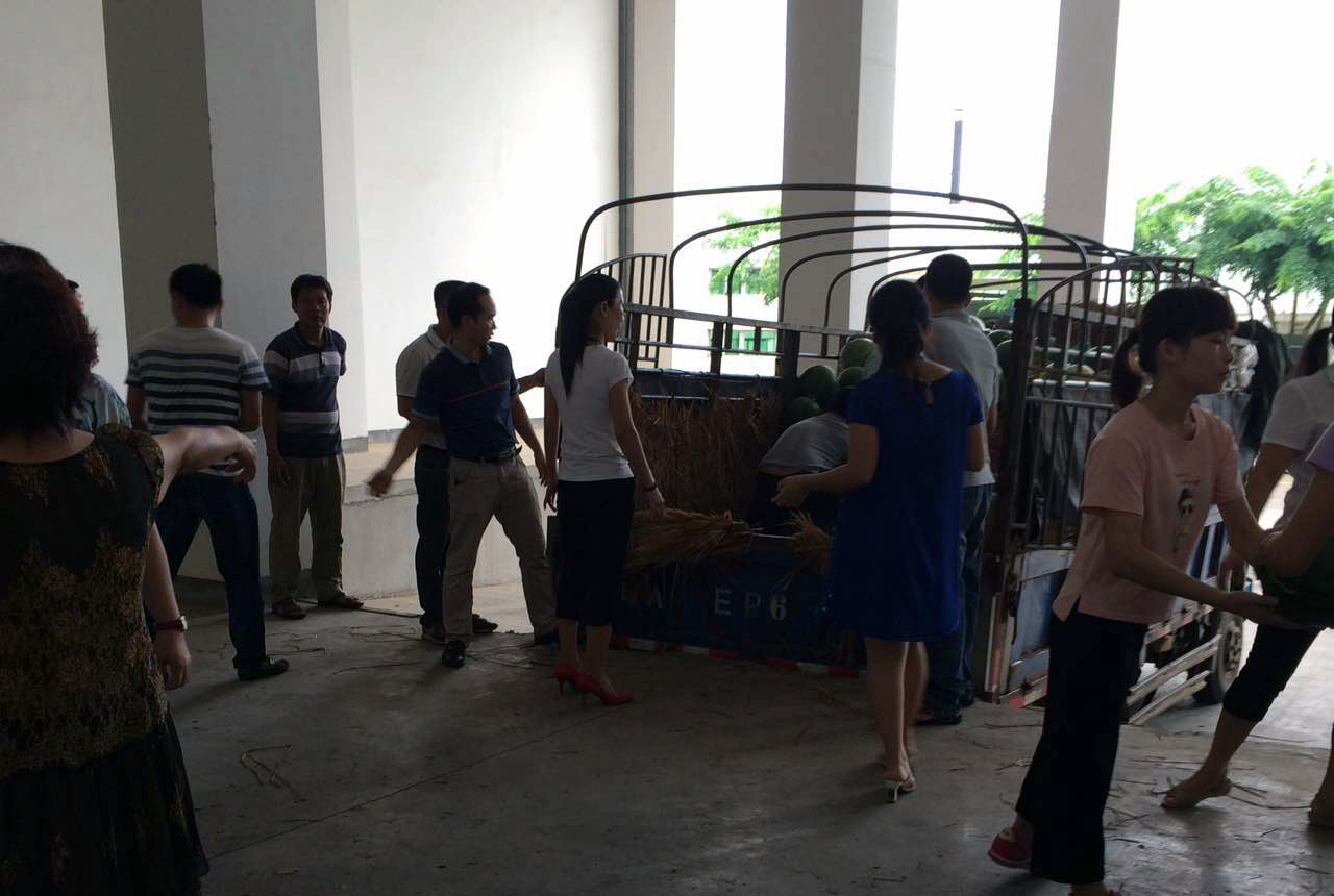 %7B48DA6252-301C-42C7-B28D-91E02A7D1272%7D