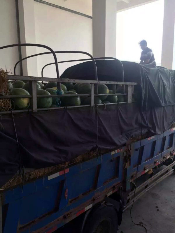 %7B9126D9D3-50E7-46B4-9D53-C99AAE791AFF%7D